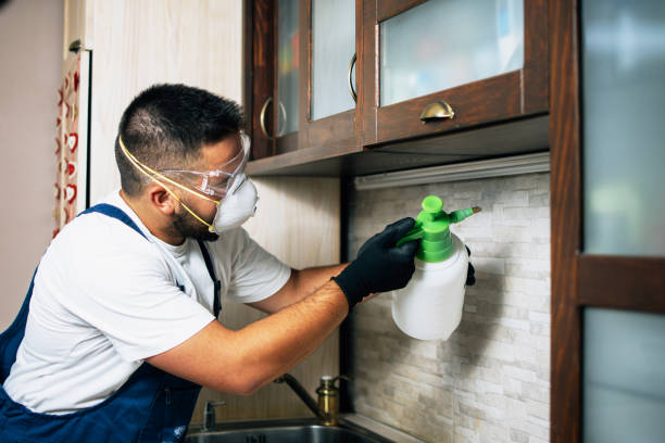 Professional Pest Control in Chiefland, FL