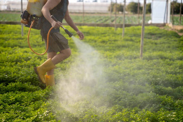 Pest Control Cost in Chiefland, FL
