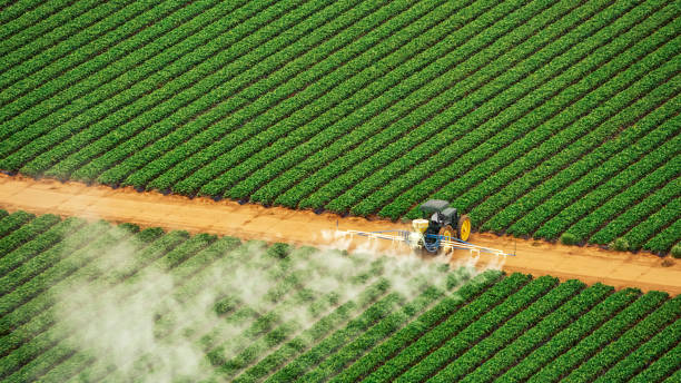 Insect Control in Chiefland, FL